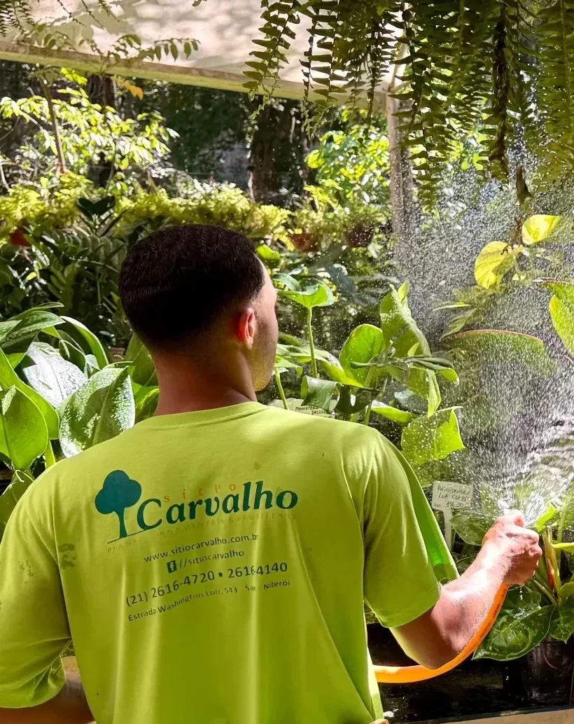 Sitio Carvalho Plantas Ltda